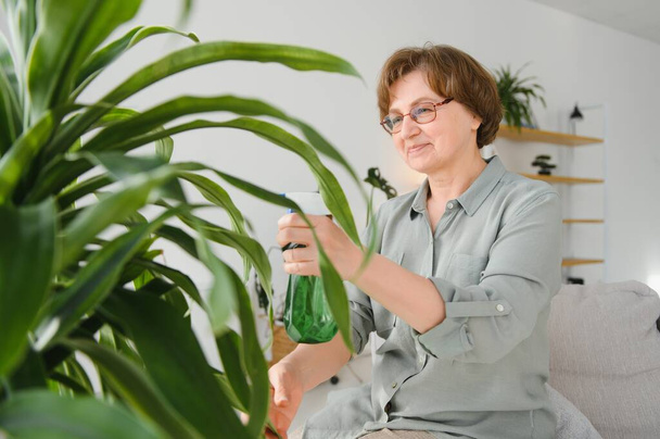 Senior woman sprays plants in flowerpots. Happy female caring for house plant. Mature Woman taking care of plants at her home, spraying a plant with pure water from a spray bottle. - Fotografie, Obrázek
