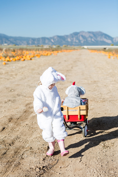 Kinder in Halloween-Kostümen - Foto, Bild