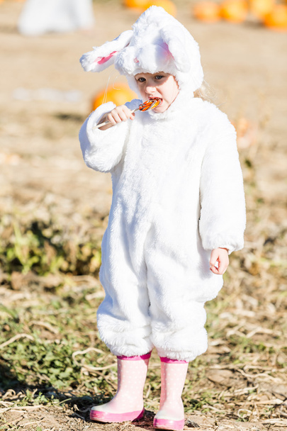 Schattige jongen in Halloween kostuum van een konijn - Foto, afbeelding