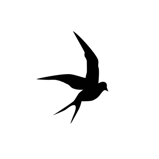 swallow. Black silhouette on a white background. Silhouette of swallows. Black contours of flying bird. Flying swallows. Tattoo vector illustration isolated on white background. - Вектор,изображение