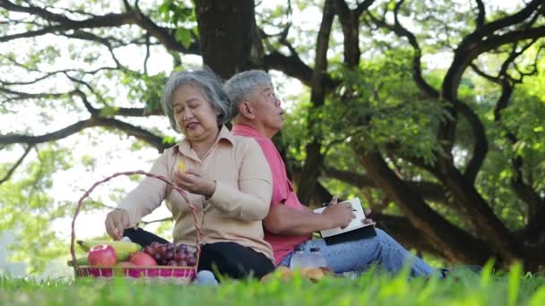 Asiatisches älteres Ehepaar picknickte im Park Sie saßen auf dem Gras und hatten Körbe mit Obst und Brot neben sich liegen. Sie genießen ihren Urlaub. Das Konzept, im Ruhestand glücklich zu sein. - Filmmaterial, Video