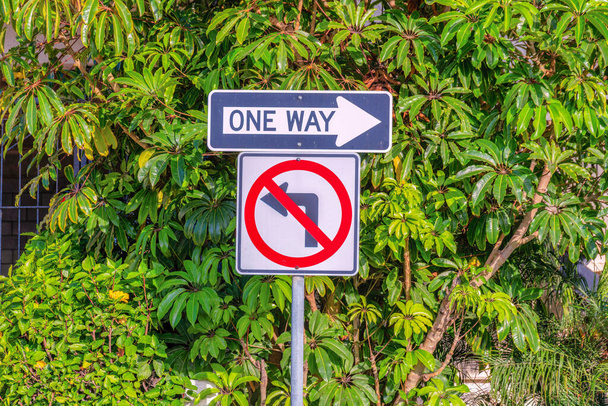 De una manera y sin izquierda gire la señalización en un poste en San Clemente, California. Las señales de tráfico contra las hojas frescas de un árbol y las plantas en el fondo. - Foto, Imagen