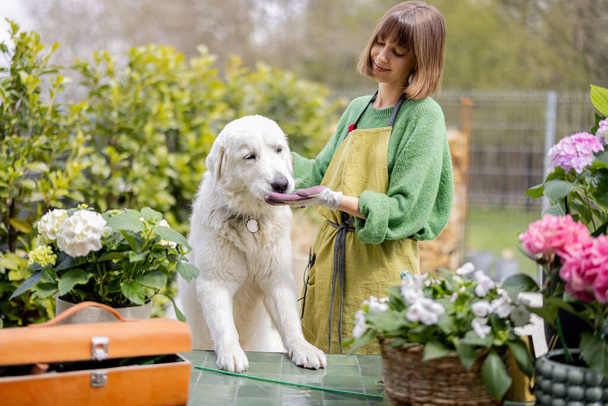 femme jouant avec son chien blanc tout en prenant soin des fleurs dans le jardin - Photo, image