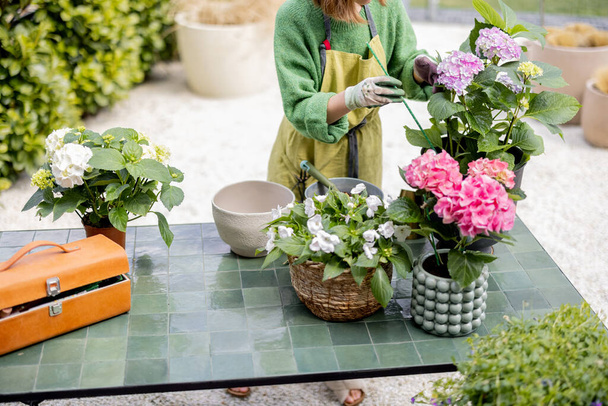 Frau pflegt Blumen auf Tisch im Garten - Foto, Bild