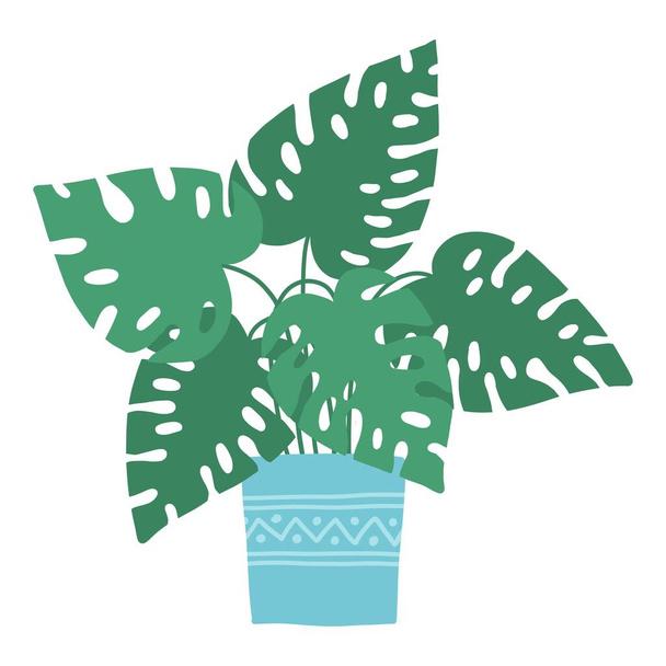 Tropikal ev bitkisi. Ficus, Monstera, protea, pellaea, çeşitli vazolarda sulu. İskandinav konforlu ev dekorasyonu. Düz vektör karikatür çizimi beyaz arkaplanda izole edildi - Vektör, Görsel