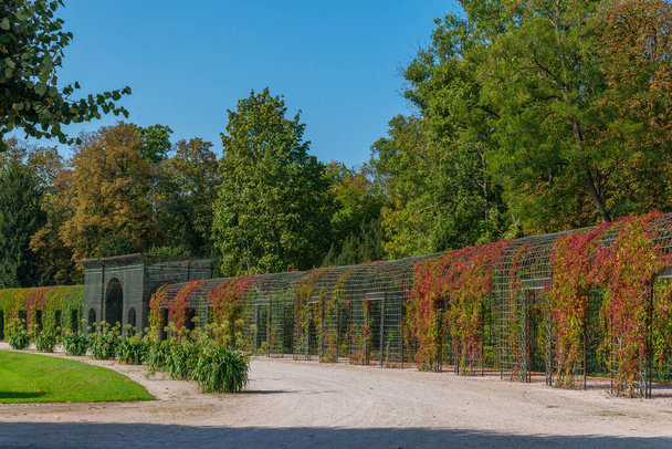 Gardens of Schwetzingen palace in Germany during sunny summer day - Fotoğraf, Görsel