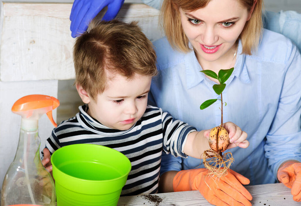 Matka i synek sadzą kwiaty. Ogrodnictwo w domu wiosennym. Cute boy pomaga mamie dbać o rośliny. - Zdjęcie, obraz
