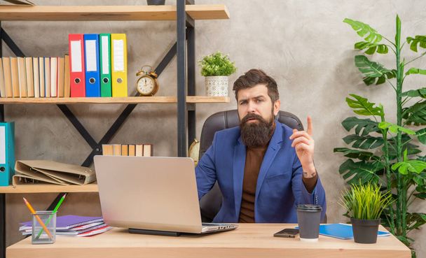 inspired with idea bearded boss study online on laptop in the office, professional occupation - Фото, изображение