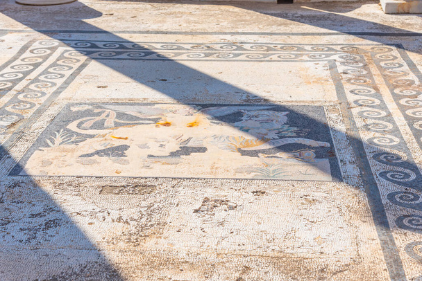 Mosaics at ancient ruins of Delos island in Greece - Foto, Imagem
