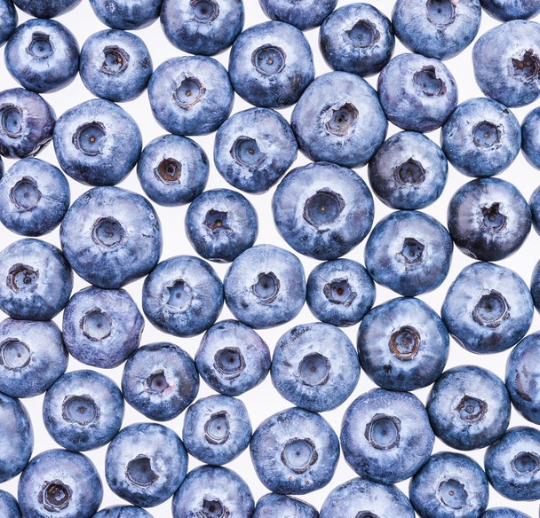 Blueberry - Photo, Image