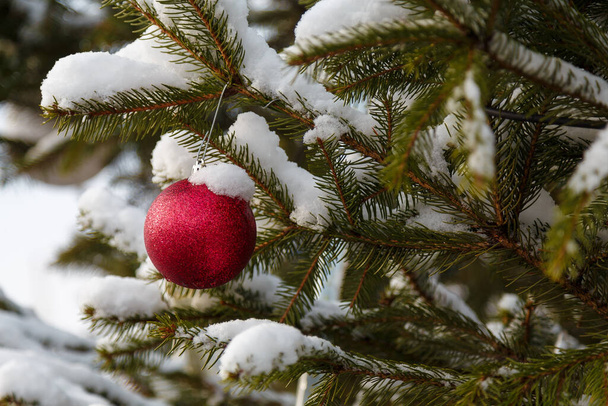 Red bauble on fir branch covered with snow. Decorated christmas tree outdoors - Фото, изображение