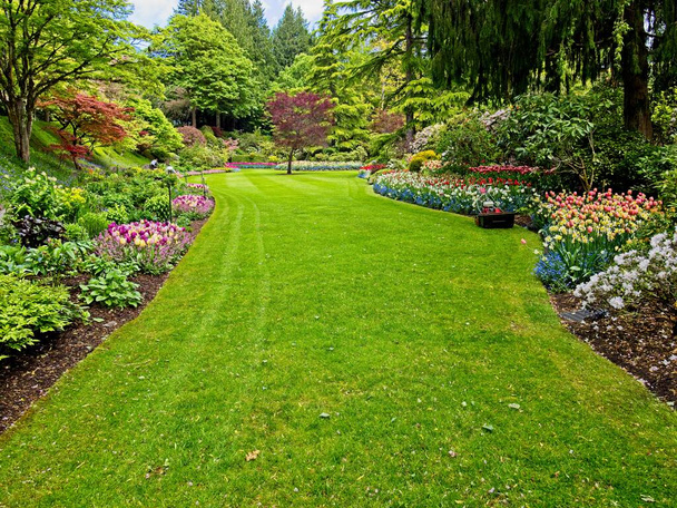 Exuberante jardín que florece en primavera con tulipanes, macizos de flores y césped - Foto, Imagen