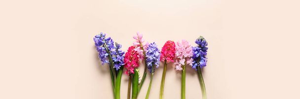 Diferentes hermosas flores de jacinto sobre fondo claro con espacio para el texto - Foto, imagen