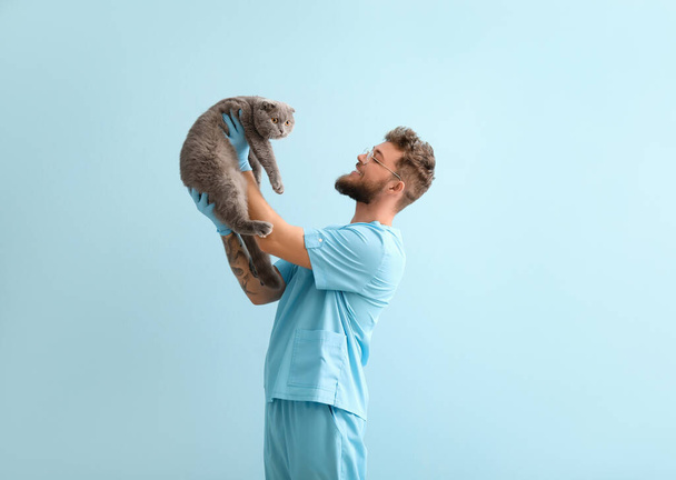 Veterinario maschio con gatto piega scozzese su sfondo di colore - Foto, immagini