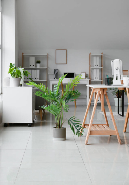 Stilvolles Büro mit Arbeitsplatz und Zimmerpflanze - Foto, Bild