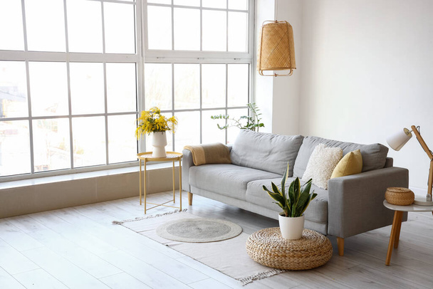 Modern oturma odasının içinde vazo ve kanepede mimoza çiçekleri var. - Fotoğraf, Görsel