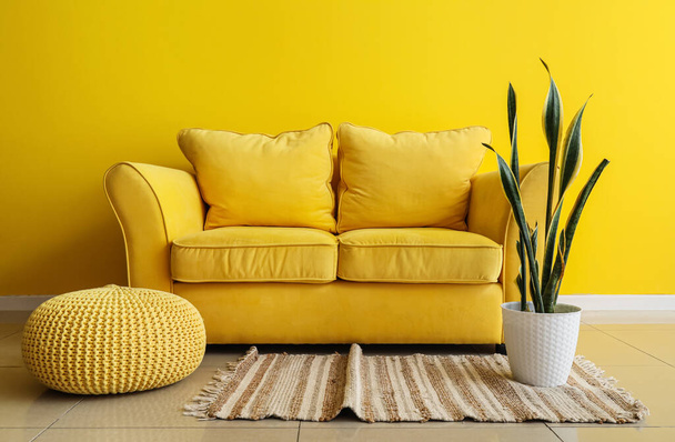 Interior de la moderna sala de estar con sofá, puf y planta de interior cerca de la pared amarilla - Foto, Imagen