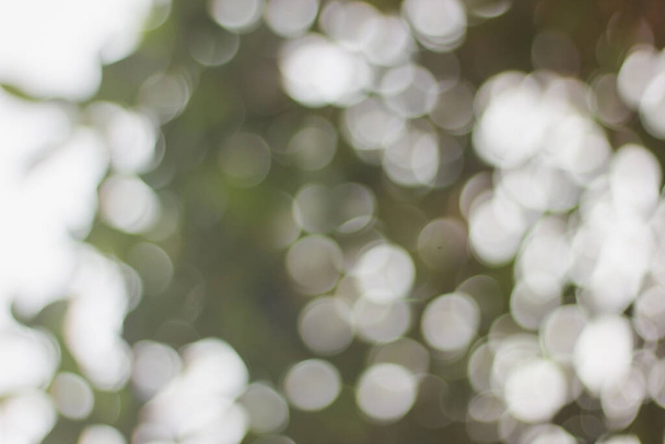 Abstract Blur of light bokeh background with full color green, yellow and gray - Fotó, kép