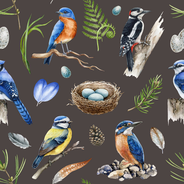 Erdei madarak zökkenőmentes mintában. Akvarell illusztráció. Kék szajkó, harkály, királyhal, kékmadár, tollak, gyógynövények zökkenőmentes minta. Természetes élővilág elem. Sötét háttér - Fotó, kép