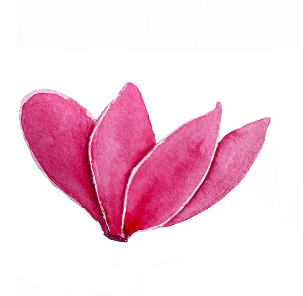 watercolor illustration of Cyclamen flower. Pink cyclamen flowers, botanical illustration. Home flowers. Watercolor flowers. Watercolor clipart cyclamen pink. - Foto, Imagen