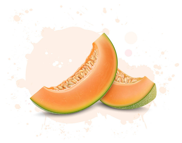 Muskmelon Fruit slices with Muskmelon seeds vector illustration  - Vector, Imagen