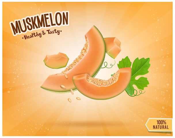 Illustration vectorielle de tranches de melon musqué avec des morceaux de fruits de melon illustration vectorielle - Vecteur, image