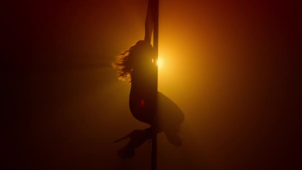 Silhouette Frau Pole Dance emotional auf Nachtclub. Lady Spinning verführerisch  - Filmmaterial, Video