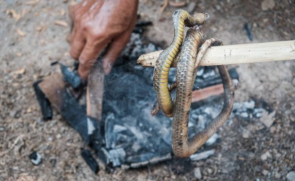 Έκοψε σφαίρες από ανθρώπινα χέρια προσπαθώντας να ψήσει το φίδι αφού το σκότωσε, προετοιμάζοντας για το μαγείρεμα του φιδιού για φαγητό. Οι ντόπιοι σε μερικές ασιατικές χώρες τρώνε κρέας φιδιού.. - Φωτογραφία, εικόνα