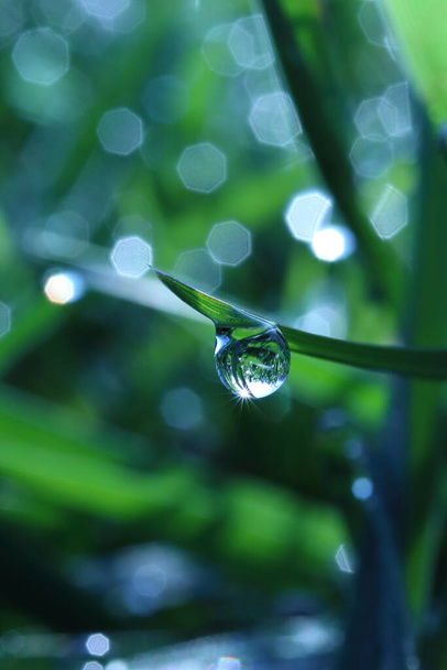 raindrop on a stalk of grass in a meadow in which the setting sun is reflected - Photo, Image