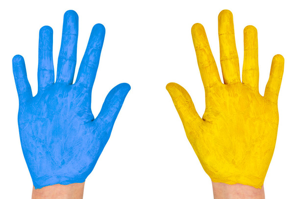 Hands painted in Ukraine flag color - blue and yellow.  Independence of Ukraine, support for Ukraine. Isolated on white. - Photo, image