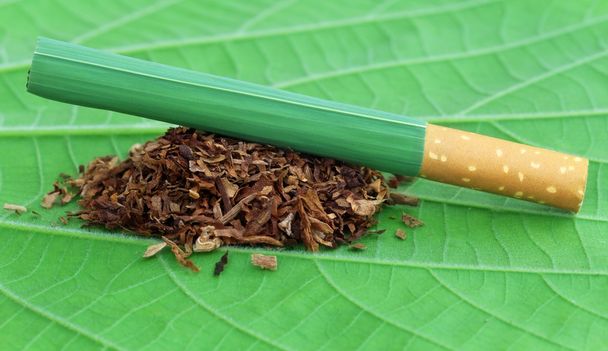 Dried tobacco leaves with cigarette - Photo, Image
