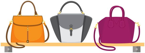 Set of women bag vector icon isolated on white background, stylish handbag, female accessories - Вектор,изображение