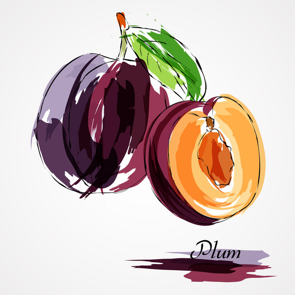 Frutos de ameixa
 - Vetor, Imagem