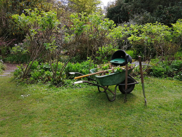 Kertészkedés és a munka a kerti telek, kosár vágott levelek növények háttér zöld fű, vasvilla, lapát, seprű tisztítására - Fotó, kép