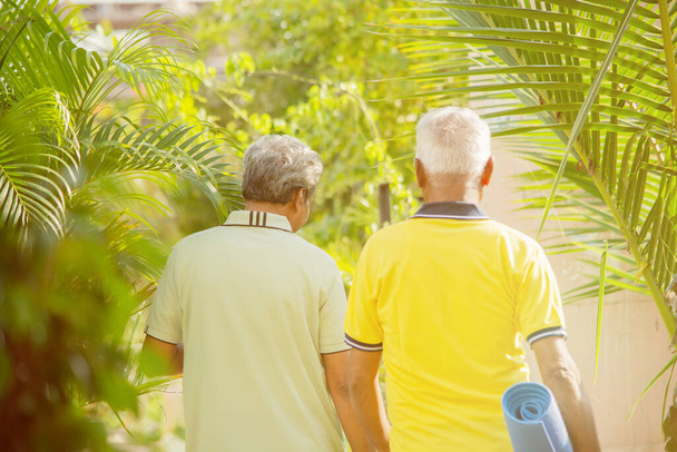 φωτογραφία με θέα στο πίσω μέρος των ηλικιωμένων ατόμων με στρώμα γιόγκα στο πάρκο - Υγιείς ηλικιωμένοι άνδρες με στρώμα γυμναστικής - χαρούμενοι παλιοί φίλοι που περπατούν στον κήπο κατά τη διάρκεια του πρωινού - Φωτογραφία, εικόνα