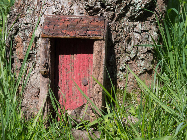 A tiny red door with little bell and tiled roof porch has be placed at the base of a tree for mythical fairies .Fairy House.Folklore - Foto, Imagem