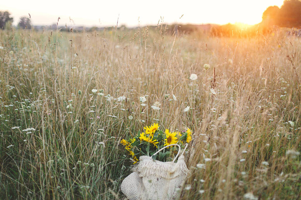 Beautiful sunflowers in straw bag in summer meadow in warm sunset light . Tranquil atmospheric moment in countryside. Gathering sunflowers bouquet among wildflowers in evening field - 写真・画像