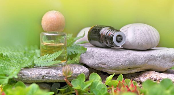 background; alternative; aromatherapy; bottle; care; essential; herbal; plant; fern; medicinal; natural; oil; green; therapy; wellness; healthy; foliage; relaxation; stones; cap; wooden; rock; stone; pebble - Foto, Imagen