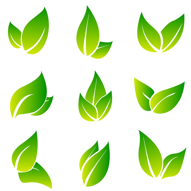 Leaves icon vector set isolated on white background. Various shapes of green leaves of trees and plants. Elements for eco and bio logos. Collection of green symbols isolated on a white background. Ecology symbol - Διάνυσμα, εικόνα