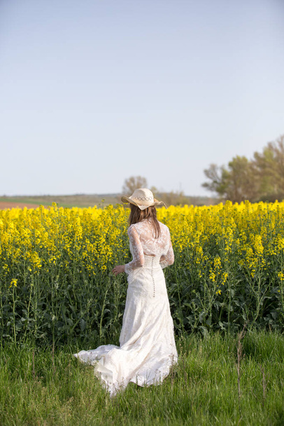 Bride in the field - Фото, зображення