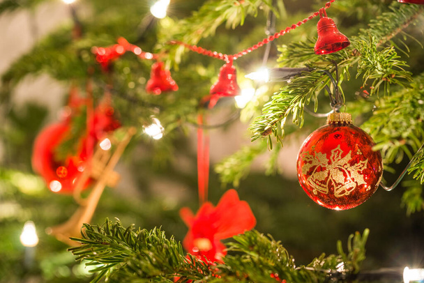 Noel ağacı Noel dekorasyonu ile - Fotoğraf, Görsel