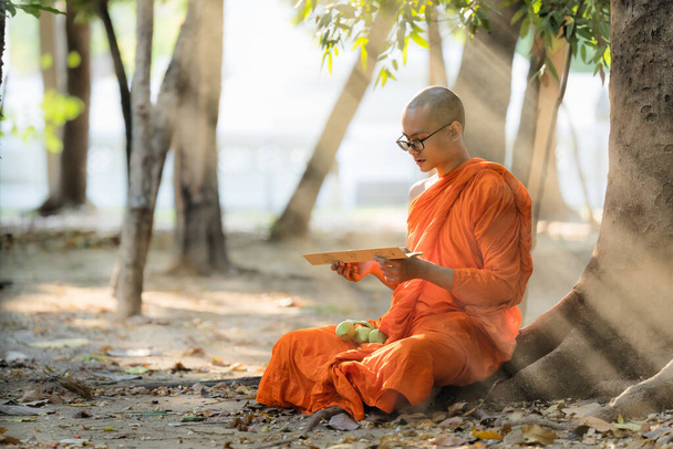 仏教学校の僧院で木の下に座って読書や仏教を勉強するタイやミャンマーやカンボジアの仏教僧は本を減らす - 写真・画像