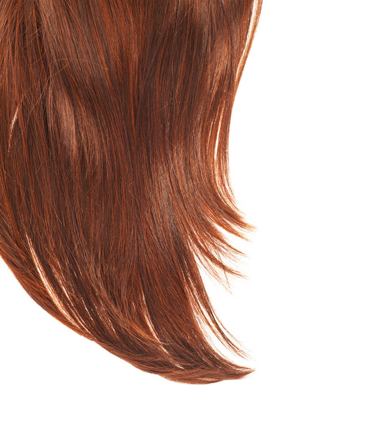 Hair fragment over the white - Photo, Image