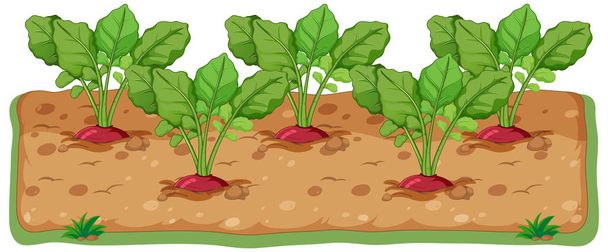 Radishes growing in soil cartoon illustration - Vektor, Bild