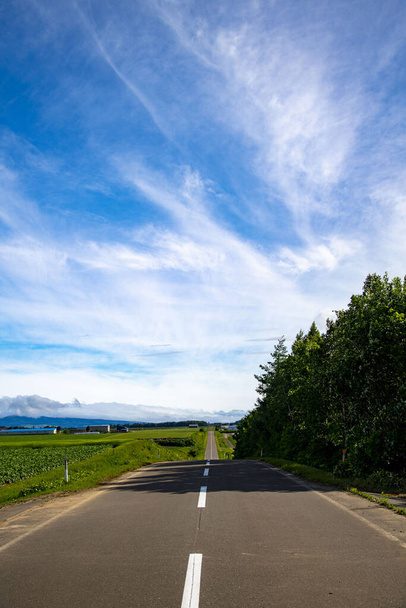 Straight road that continues far - Fotografie, Obrázek