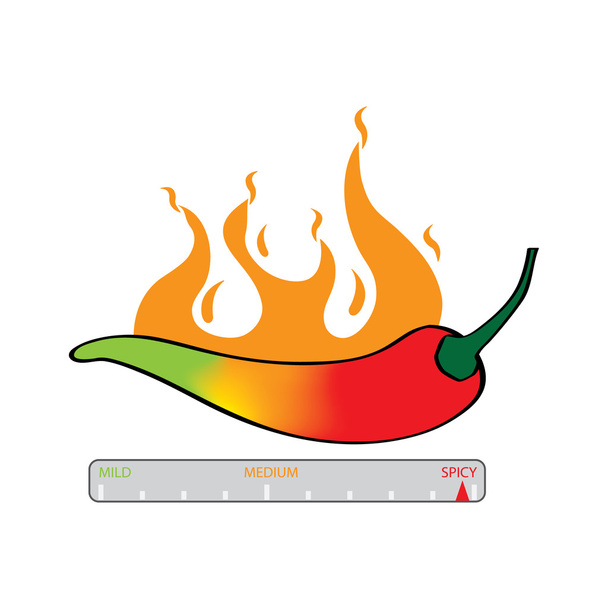 Chili Spice meter - Vector, Image