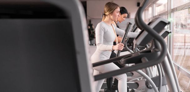 two attractive athletic young women are training together in the gym. Perform exercise on a cardio machine. Banner. - Fotografie, Obrázek