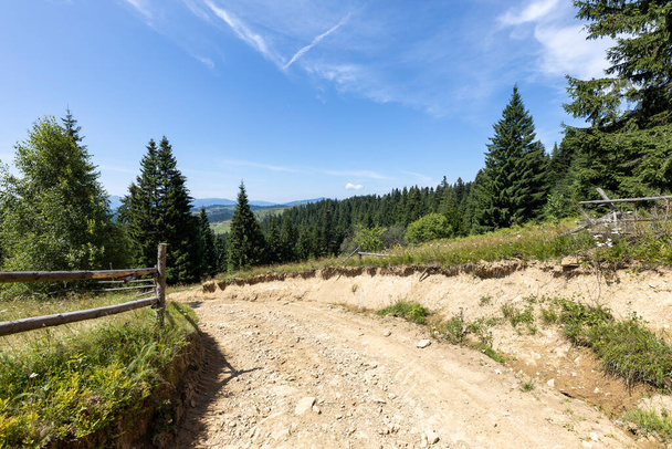 Mountain dirt road in the Ukrainian Carpathians on a summer day. - Fotoğraf, Görsel