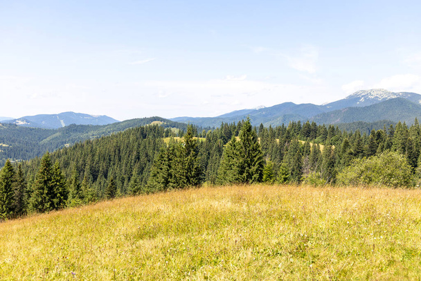 Mountain landscape in Ukrainian Carpathians in summer. - Fotografie, Obrázek