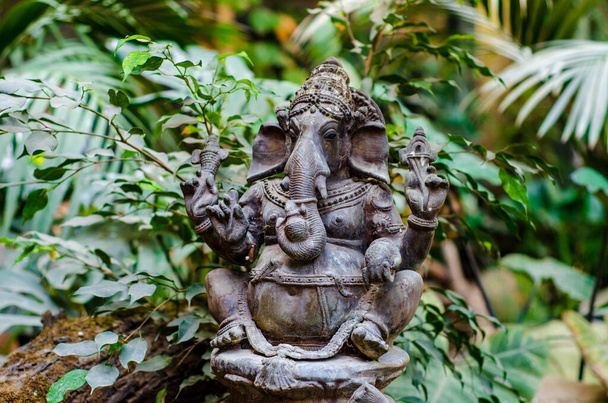 Ganesha metalli hahmo viidakossa - Valokuva, kuva